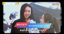 91视频合集